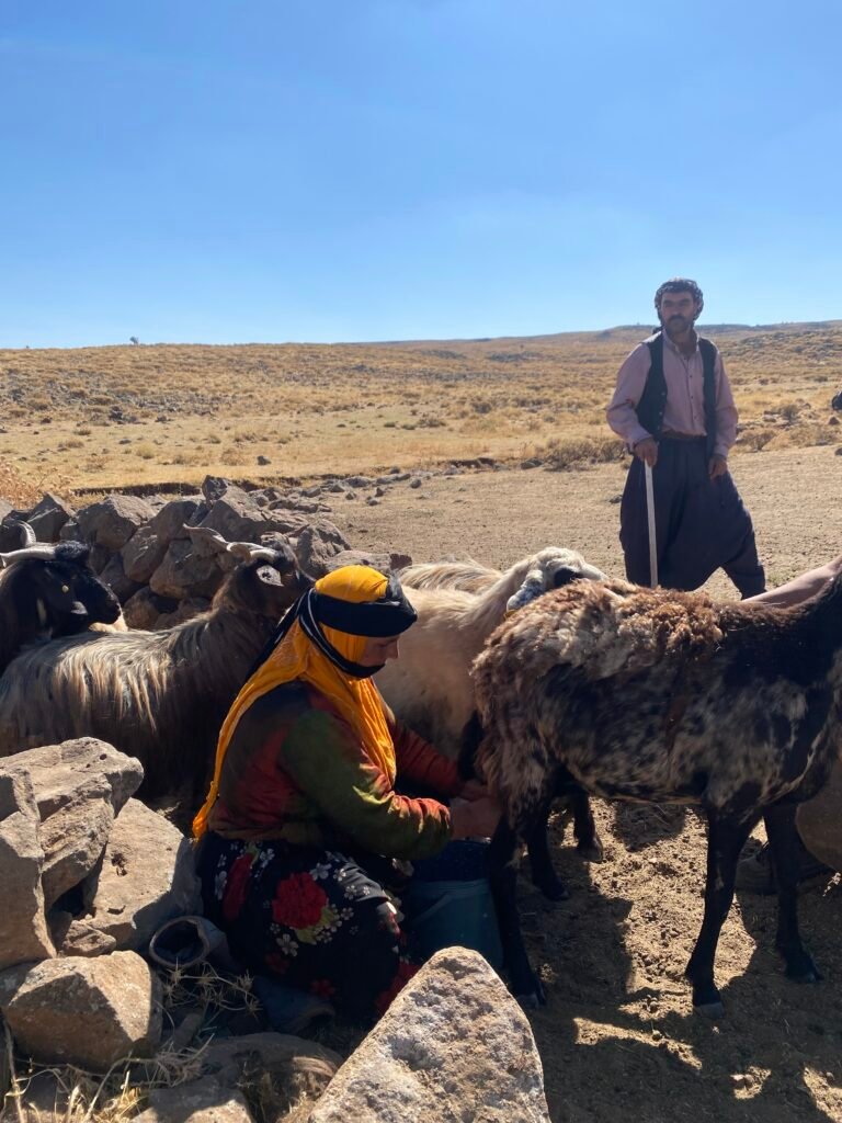3- Father Abdulkadir Tekin watching over the flock_Credit-Gülistan Korban