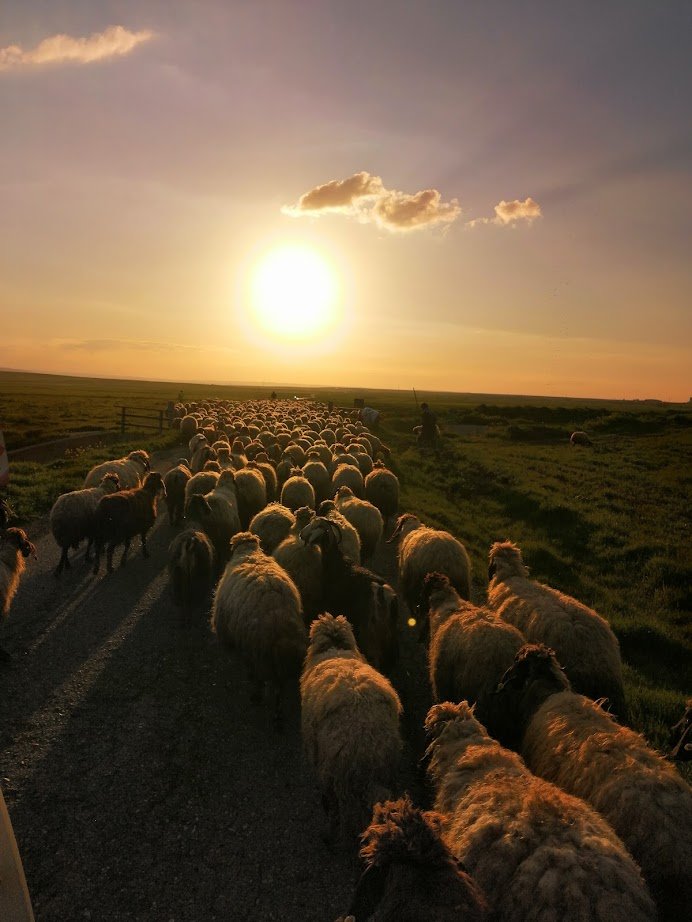 7- The nomads are on their way back-Credit_Gülistan Korban